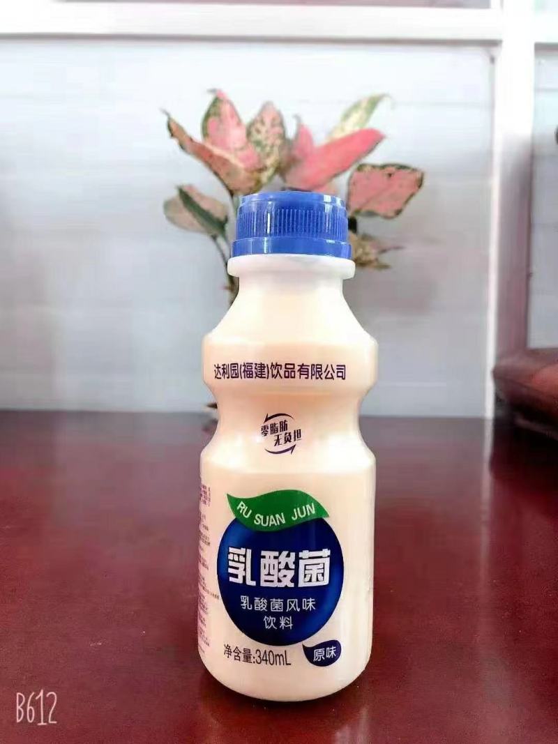 乳酸菌