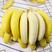 【包邮-10斤香蕉】热销10斤一箱云南高山大香蕉