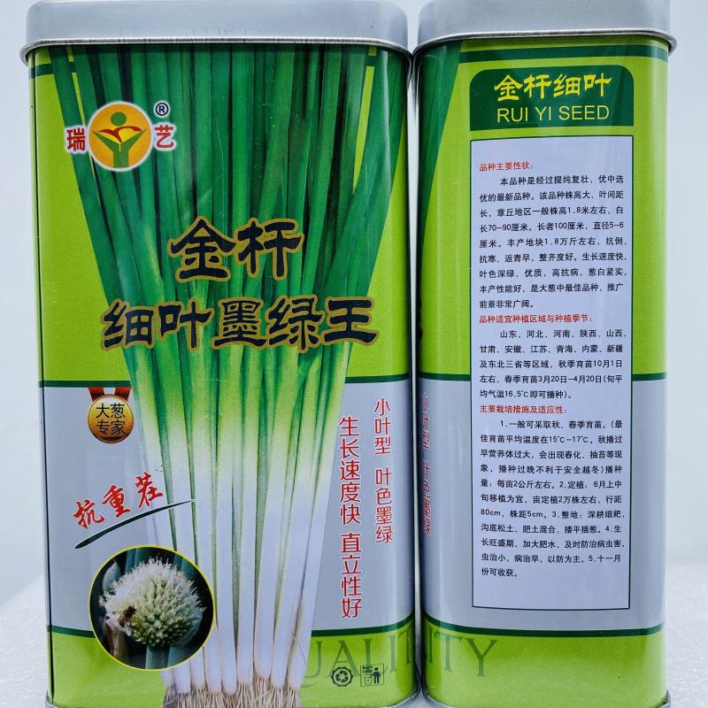 山东章丘大葱种子高产耐寒铁杆苗蔬菜苗子种籽四季春季大葱种