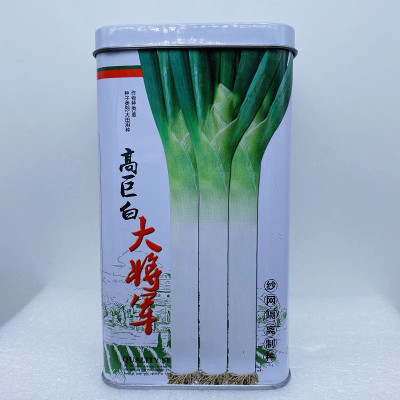 山东章丘大葱种子高产耐寒铁杆苗蔬菜苗子种籽四季春季大葱种