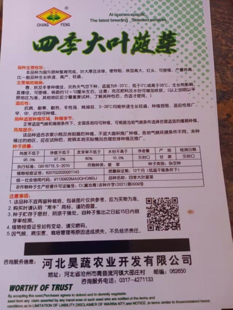【菠菜种子】四季易种大叶菠菜种子耐热耐寒盆栽园艺蔬菜种子