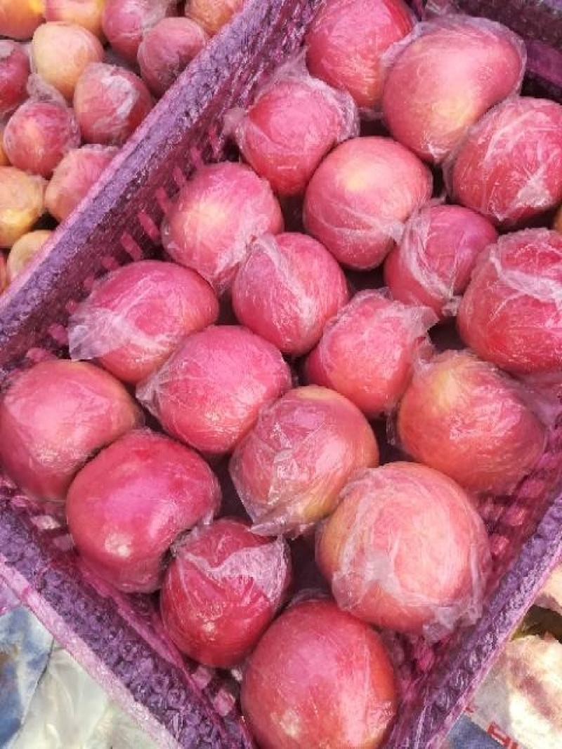 纸夹膜冰糖心富士