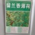 食用香水薄荷种子多年生留兰香薄荷种籽四季易种驱蚊植物花卉