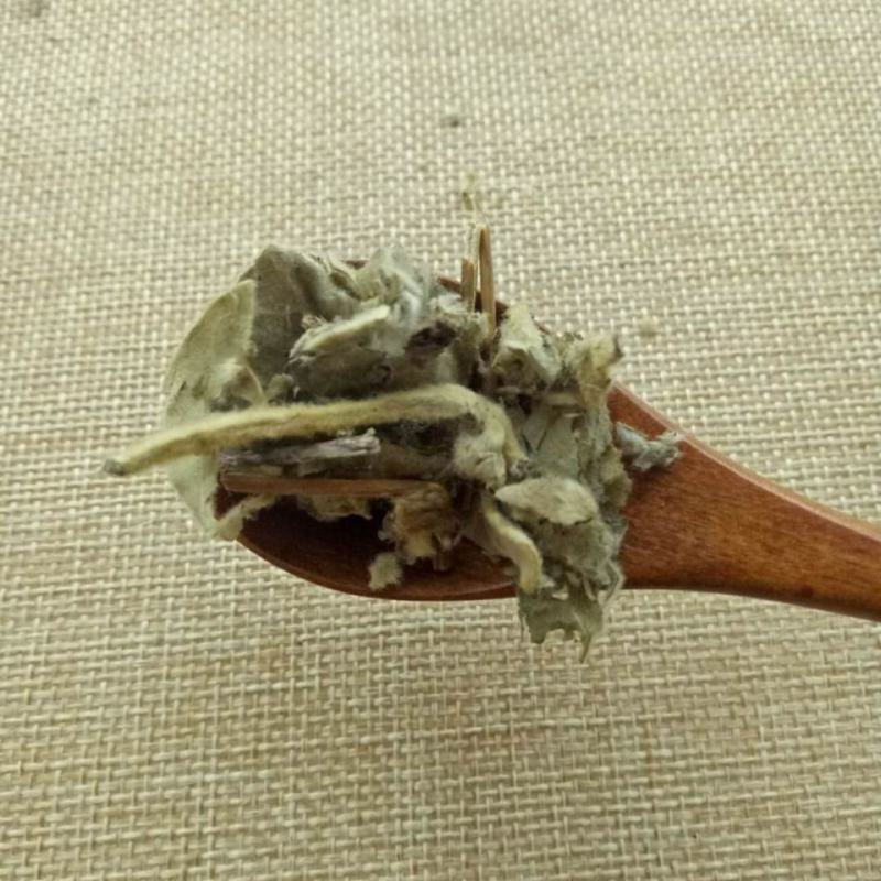 寻骨风寻骨风清骨风猫耳朵兔子耳穿地节寻骨风叶