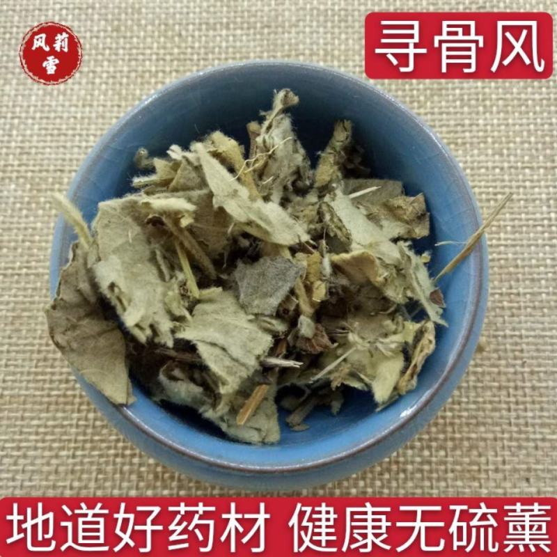 寻骨风寻骨风清骨风猫耳朵兔子耳穿地节寻骨风叶