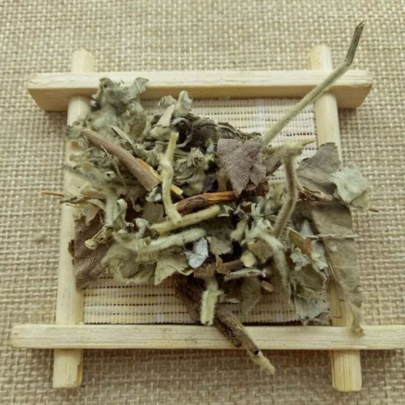 寻骨风寻骨风清骨风猫耳朵兔子耳穿地节寻骨风叶