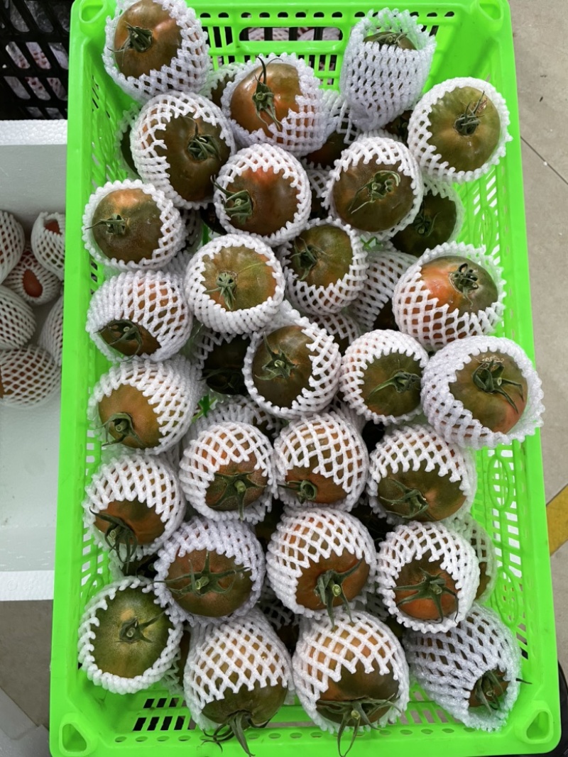 草莓番茄（糖度8度以上，大型基地，全年供应）