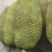 海南菠萝蜜，现货供应中，电商市场精品货规格齐全。