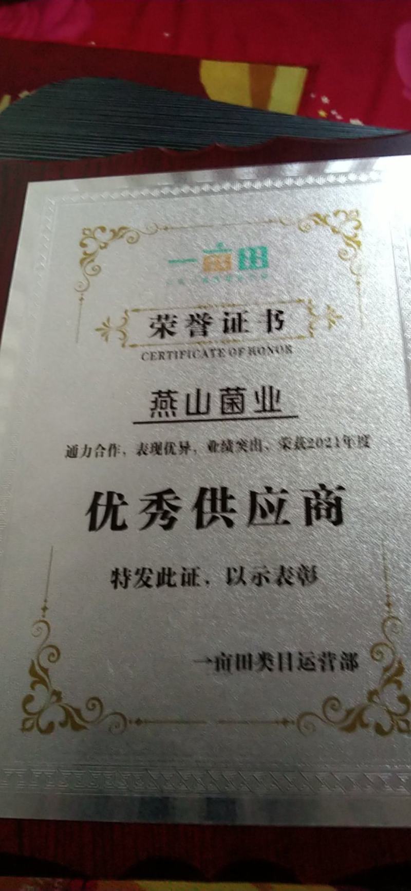 松蘑大山里採摘当天晒干干净卫生味道鲜美。