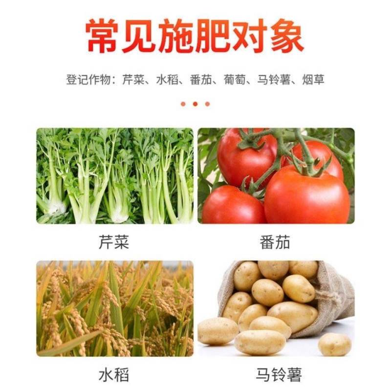 富美实甘美1L装氨基酸水桶肥料提高座果率保花叶面肥