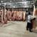 屠宰场常年出售白条母猪肉没有中间商直接厂家直销