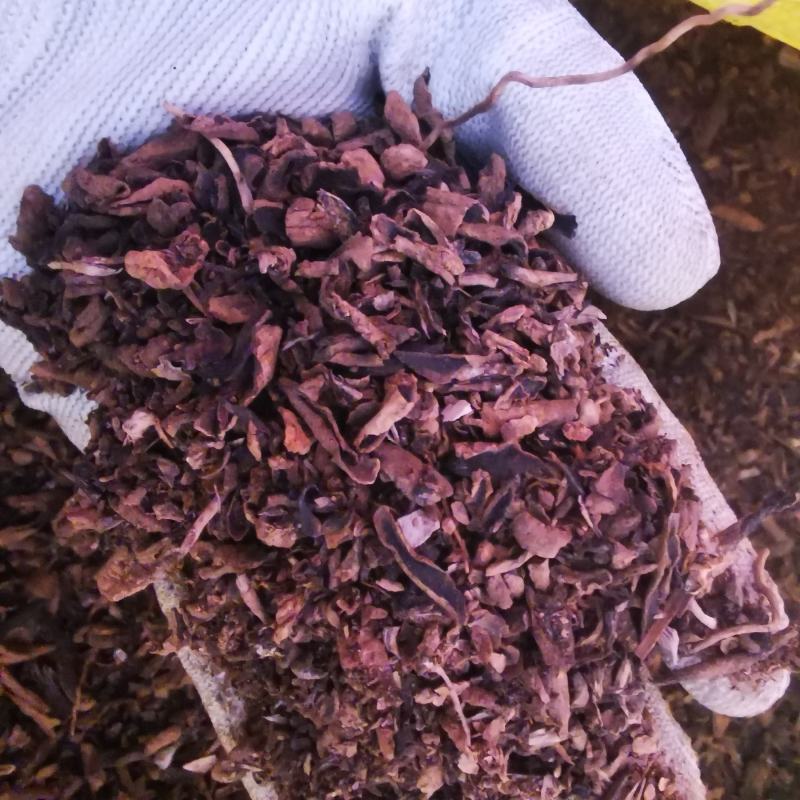 玄参元参颗粒打粉颗粒一手货源需要联系