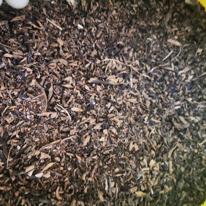 玄参元参颗粒打粉颗粒一手货源需要联系