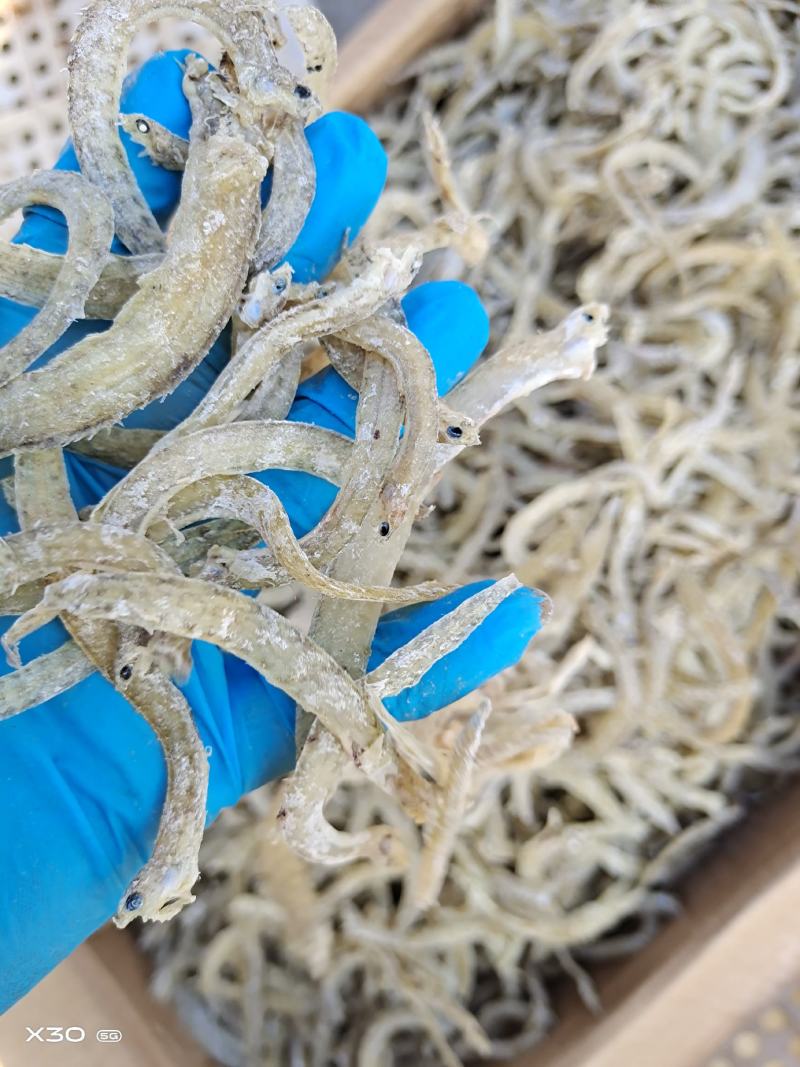 黄金凤尾鱼熟鱼干麻辣鱼油炸鱼食材视频看货产地直发量大从优