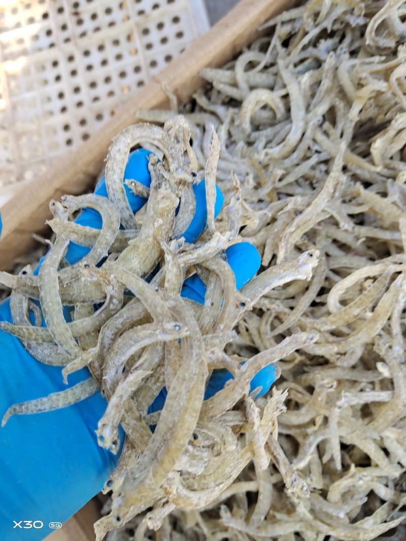 黄金凤尾鱼熟鱼干麻辣鱼油炸鱼食材视频看货产地直发量大从优