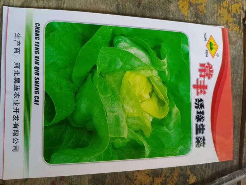 生菜种子绣球生菜种子结球包心生菜卷心菜菜种子四季盆栽大田