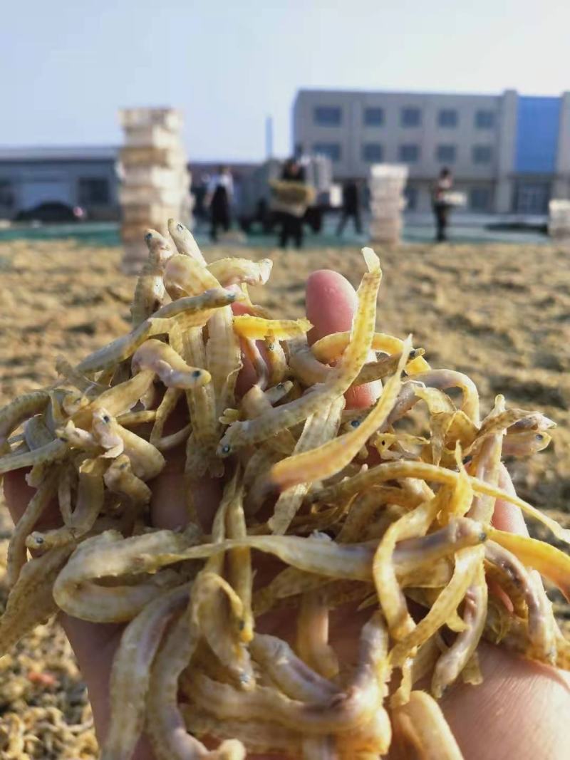 黄金凤尾鱼熟鱼干麻辣鱼油炸鱼食材视频看货产地直发量大从优