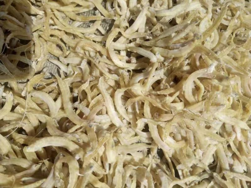 黄金凤尾鱼熟鱼干麻辣鱼油炸鱼食材视频看货产地直发量大从优