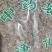 密蒙花干货干净无杂质常年经营各种中药材