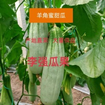 山东潍坊精品博洋九羊角蜜甜瓜对接电商市场商超零售