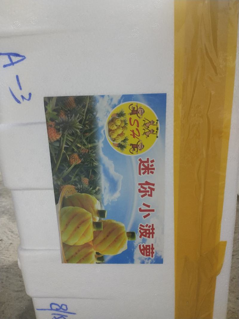 小菠萝