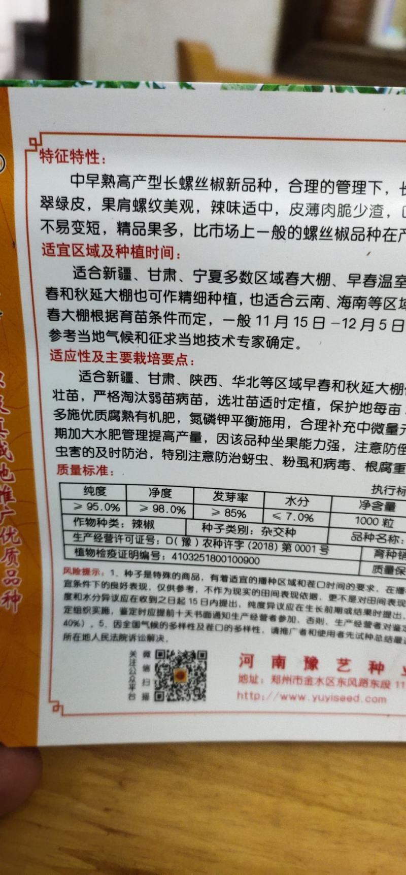 辣椒种子螺丝椒一尺长33厘米高产量翠绿皮无渣