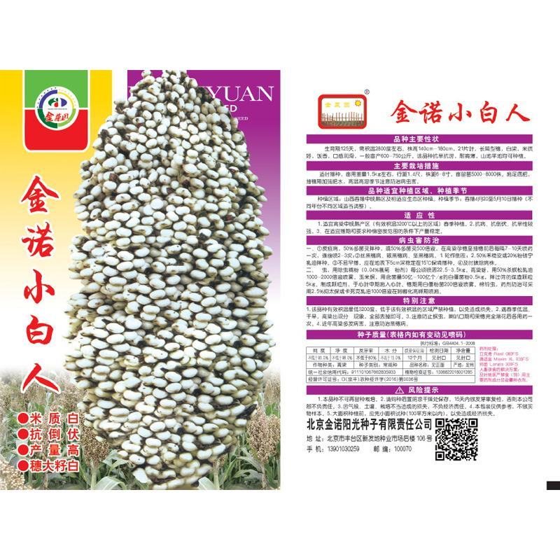 金诺小白人高粱种子100克