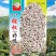 八棵杈高粱种子，100克