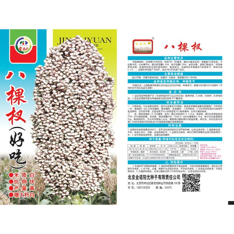 八棵杈高粱种子，100克