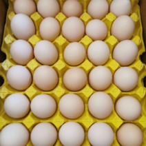 常年出售精品双色粉蛋，粉蛋360枚按当天的报价