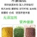 东北大米竹香米正宗长粒香米新米绿竹米多规格选择多省包邮