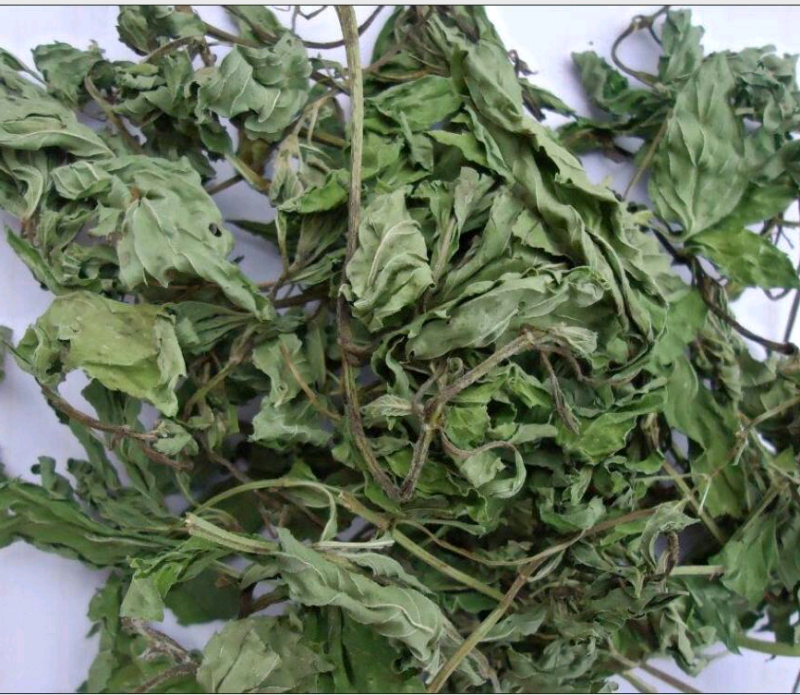 薄荷叶全干薄荷叶茶食用薄荷叶泡水泡茶清凉提神无硫无添
