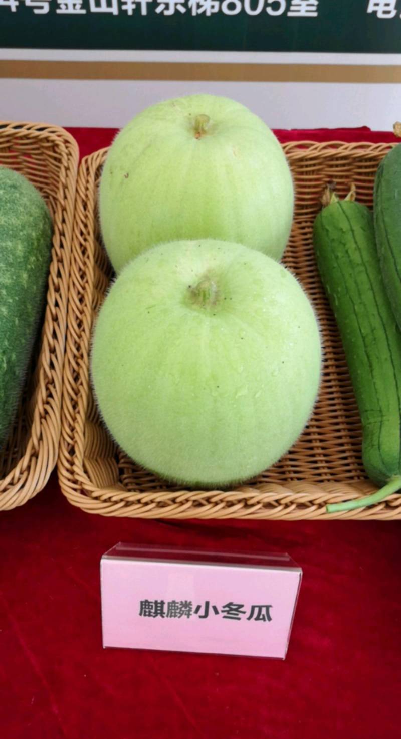 麒麟冬瓜种子非香芋味清甜纯正冬瓜味