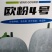 冬瓜种子杂交种新品种早熟坐果多长25厘米