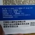 冬瓜种子杂交种新品种早熟坐果多长25厘米