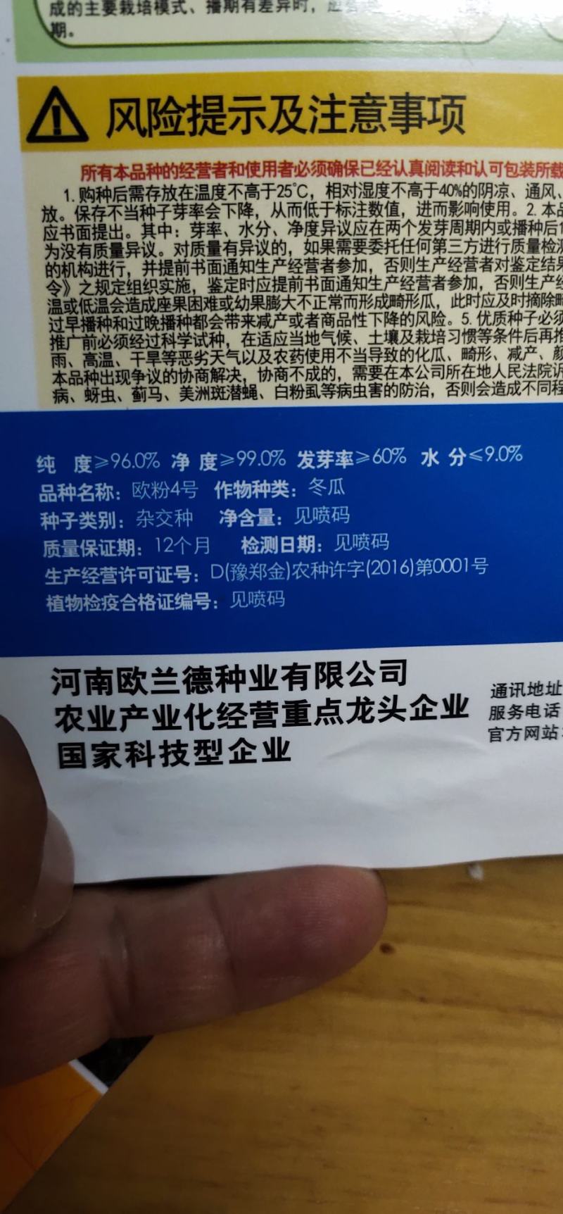冬瓜种子杂交种新品种早熟坐果多长25厘米