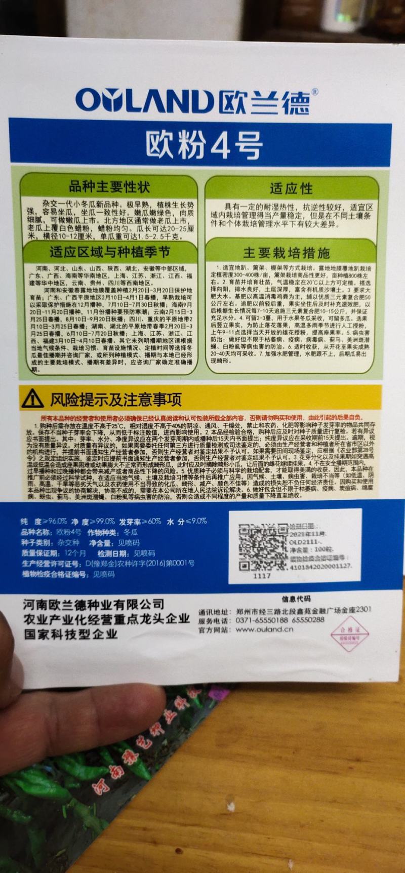 冬瓜种子杂交种新品种早熟坐果多长25厘米