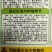 冬瓜种子杂交种新品种早熟坐果多长25厘米