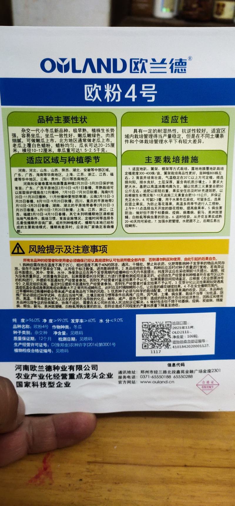 冬瓜种子杂交种新品种早熟坐果多长25厘米