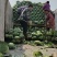岳阳市君山区圆包菜规格3/6斤，种植面积5000亩。