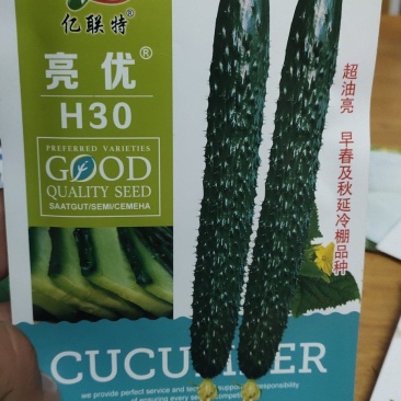 黄瓜种子亮优早春及秋延冷棚品种瓜多油亮密刺