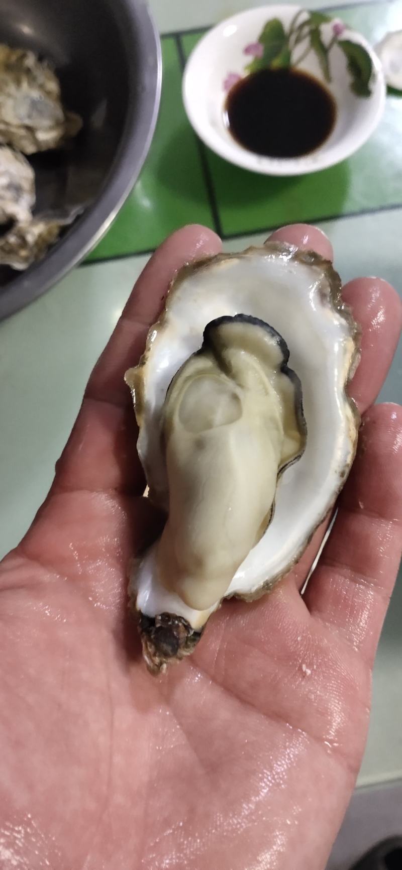 生蚝批发，养殖户直供，全国发货！