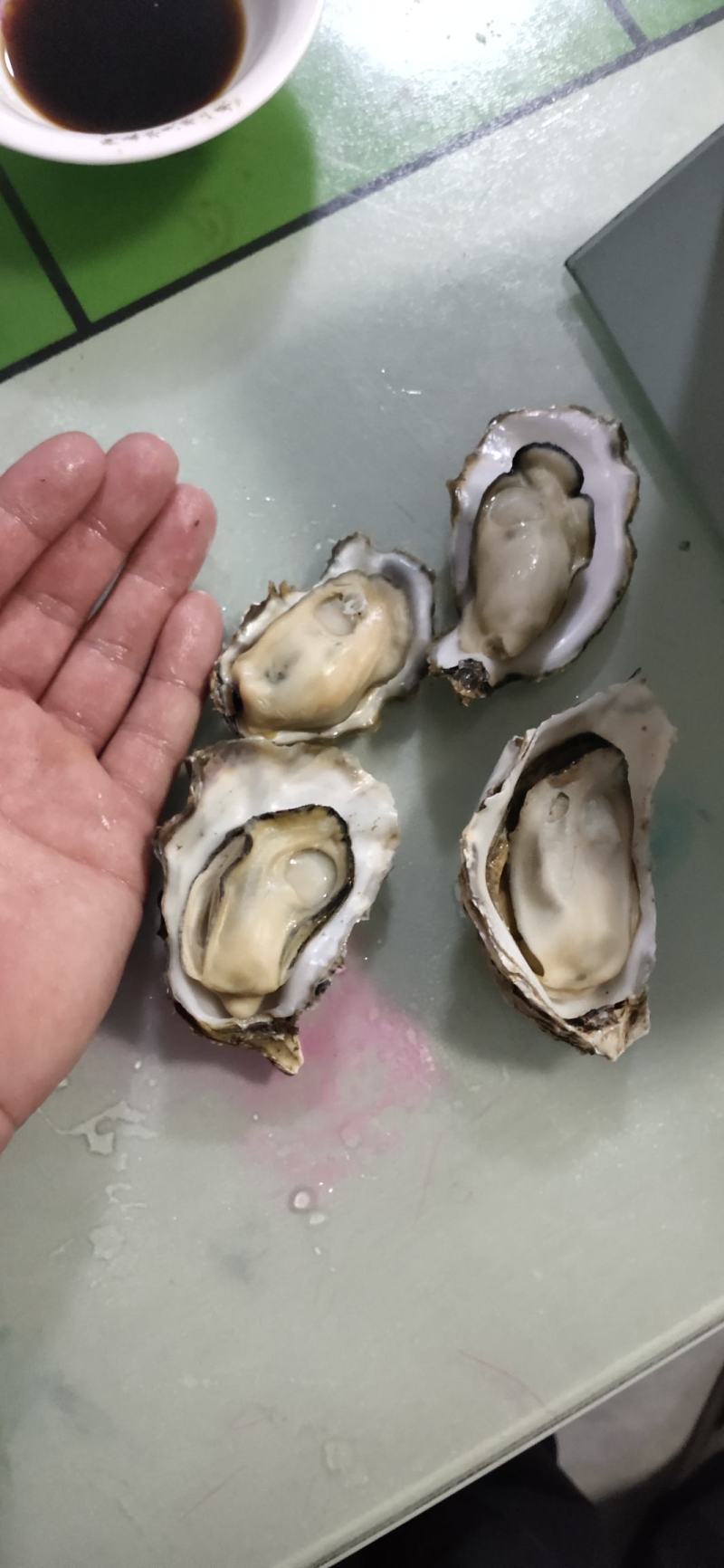 生蚝批发，养殖户直供，全国发货！
