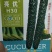黄瓜种子亮优早春及秋延冷棚品种瓜多油亮密刺