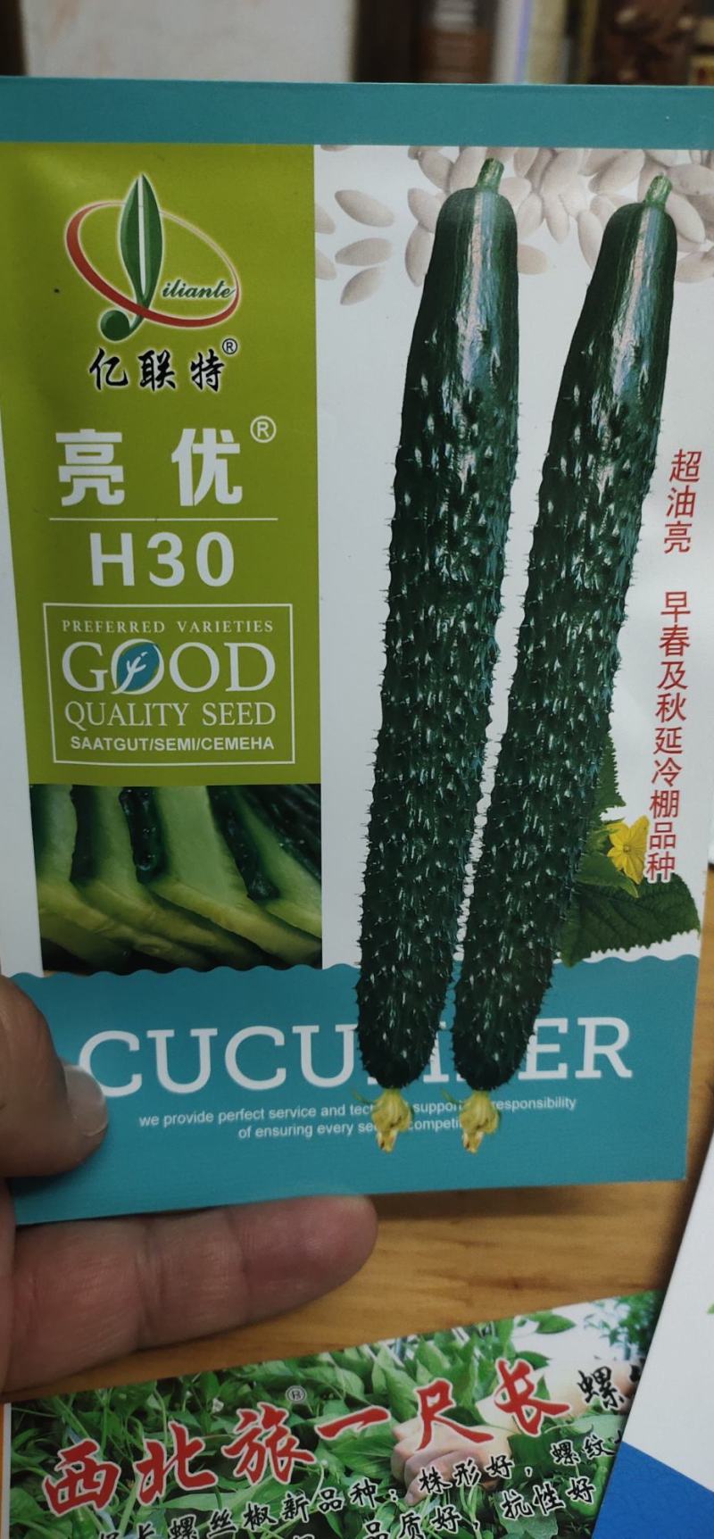 黄瓜种子亮优早春及秋延冷棚品种瓜多油亮密刺