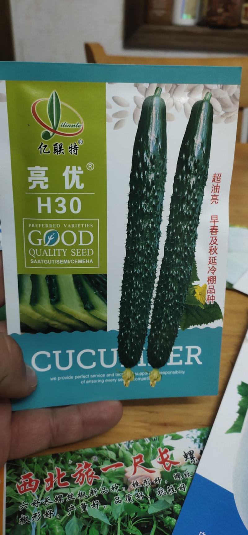黄瓜种子亮优早春及秋延冷棚品种瓜多油亮密刺