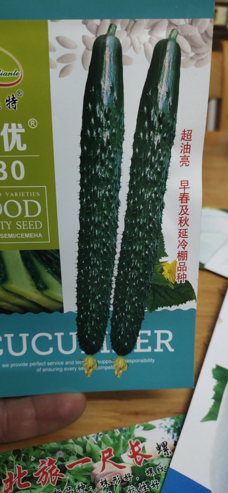 黄瓜种子亮优早春及秋延冷棚品种瓜多油亮密刺