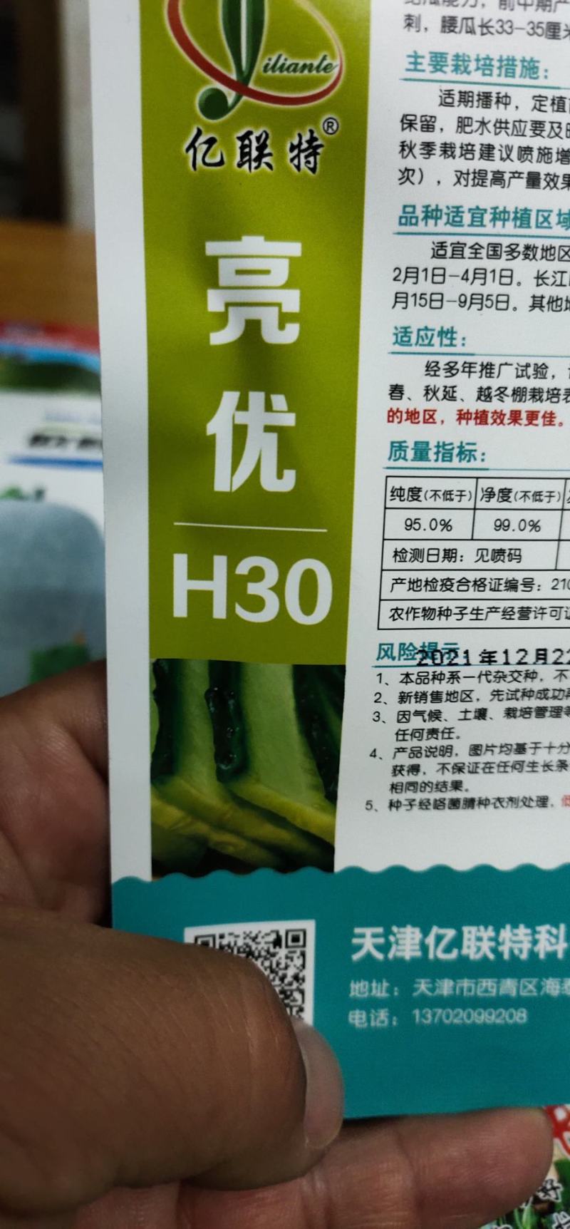 黄瓜种子亮优早春及秋延冷棚品种瓜多油亮密刺