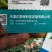 黄瓜种子亮优早春及秋延冷棚品种瓜多油亮密刺