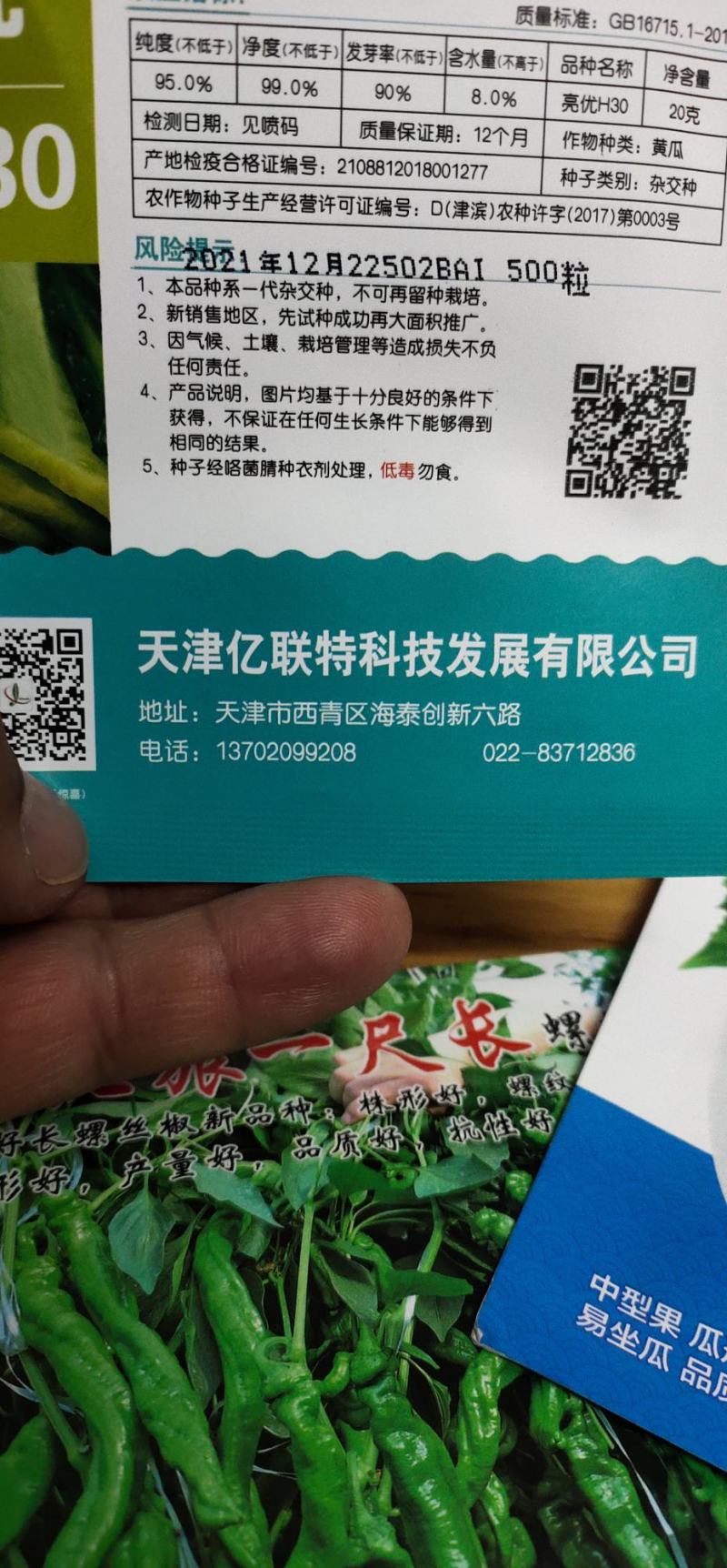 黄瓜种子亮优早春及秋延冷棚品种瓜多油亮密刺